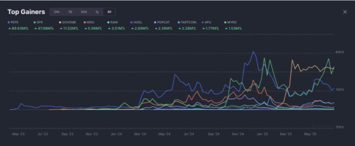 Top meme coin gainers of all time graph on CoinMarketCap.