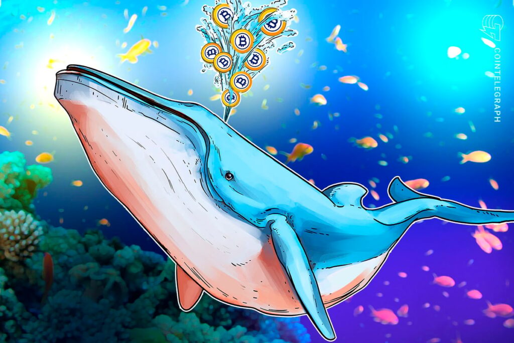 No Indications of Sell-Off in $8.6B Bitcoin Whale Transfer