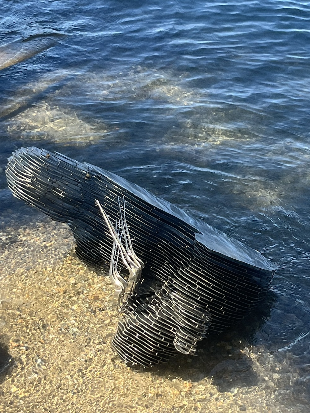 Satoshi Nakamoto, Switzerland, Crimes, Bitcoin Adoption