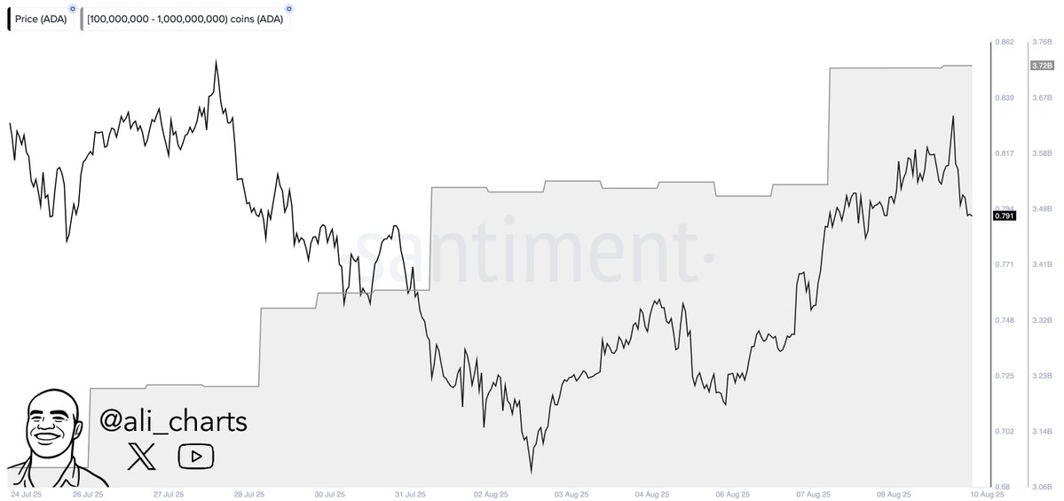 AD 4nXeOUF RDCkLDYi9MyoIVKScliMoRx26xrERq9Ewsqm3iSql2yyKWdJCiNz43 OSCjFwfbrYc70rLUgXk0CY FedoKvR48U0348gLKEj62VHmBNyWtg5etDqGlg0YcMmMq8328VlTQ?key=KvlJuu4gfyQOFY mqvgKnQ