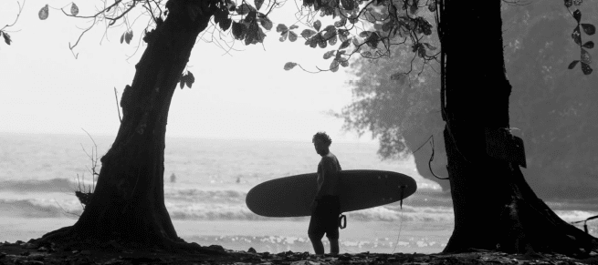 bitcoin circular economy, surfer standing between trees about to hit the waves
