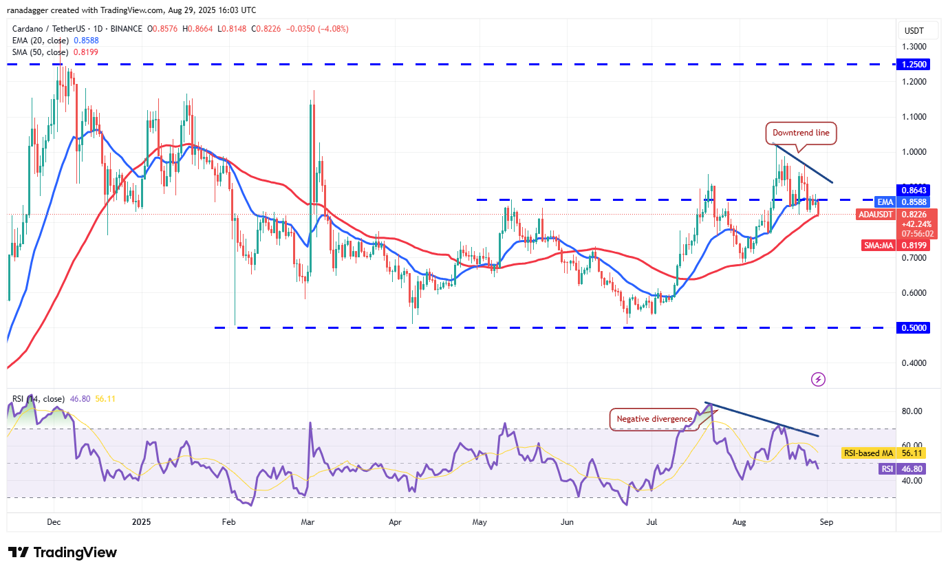 Dogecoin, Cryptocurrencies, Bitcoin Price, Christmas, XRP, Markets, Cryptocurrency Exchange, Cardano, Price Analysis, Binance Coin, Chainlink, Market Analysis, Ether Price, Solana, Ethereum ETF, Bitcoin ETF, ETF, SUI