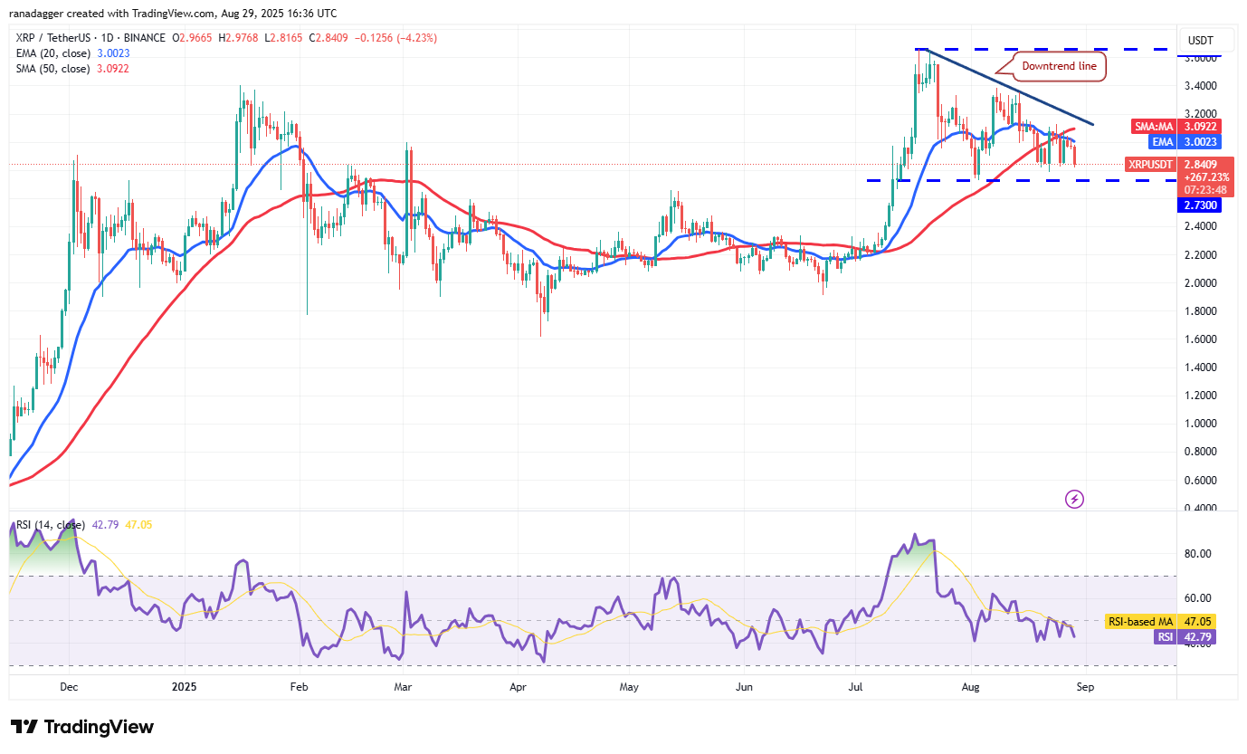 Dogecoin, Cryptocurrencies, Bitcoin Price, Christmas, XRP, Markets, Cryptocurrency Exchange, Cardano, Price Analysis, Binance Coin, Chainlink, Market Analysis, Ether Price, Solana, Ethereum ETF, Bitcoin ETF, ETF, SUI
