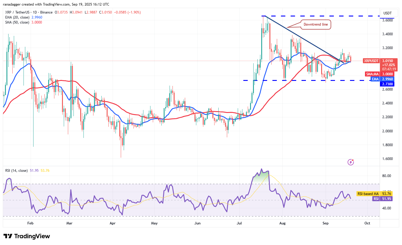 Dogecoin, Cryptocurrencies, Bitcoin Price, XRP, Markets, Cryptocurrency Exchange, Cardano, Price Analysis, Binance Coin, Chainlink, Market Analysis, Ether Price, Solana, Avalanche