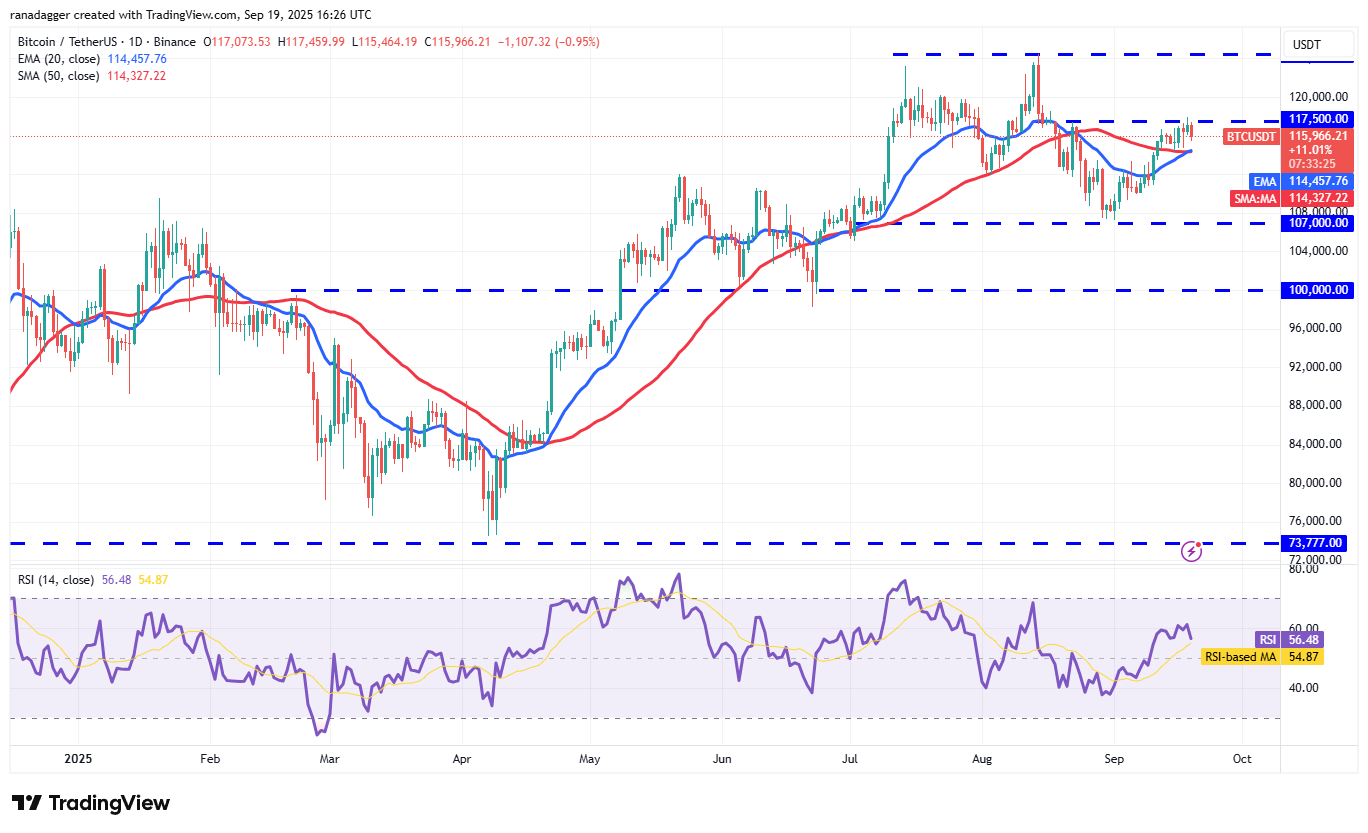 Dogecoin, Cryptocurrencies, Bitcoin Price, XRP, Markets, Cryptocurrency Exchange, Cardano, Price Analysis, Binance Coin, Chainlink, Market Analysis, Ether Price, Solana, Avalanche