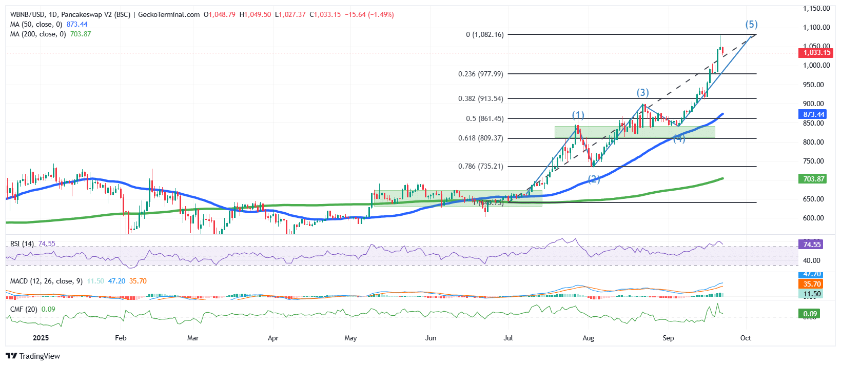 BNB Price Chart Analysis Source: GeckoTerminal