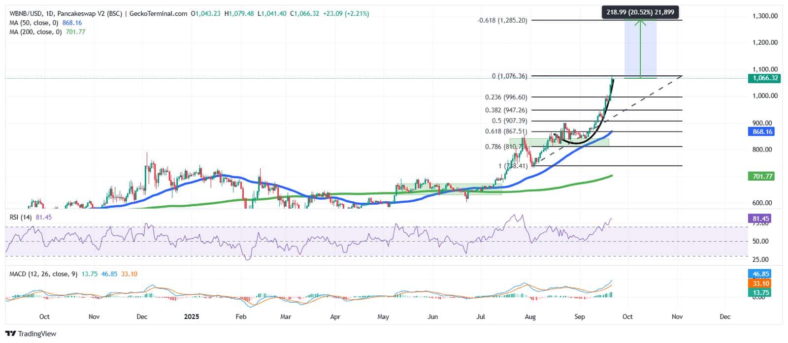 BNB Price Chart Analysis Source: GeckoTerminal