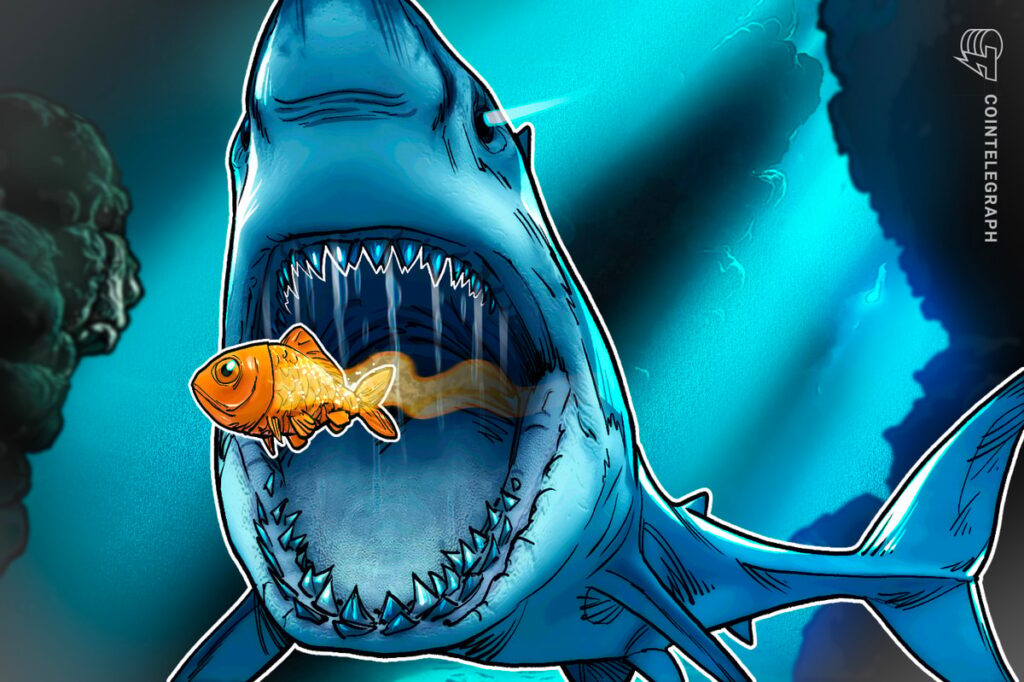 BTC Treasury Smarter Web Company Looks to Buy Competition