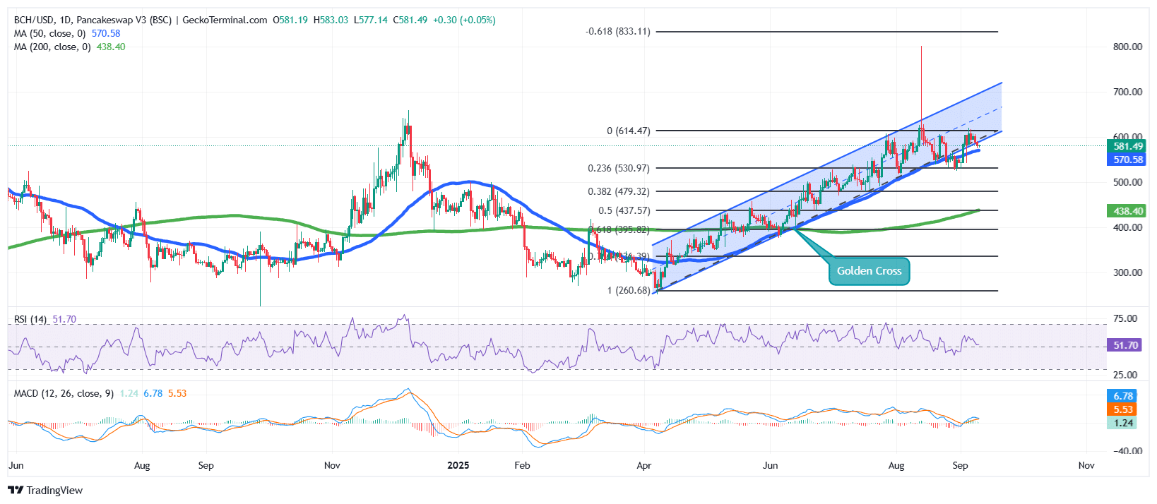 Bitcoin Cash Price Chart Analysis Source: GeckoTerminal