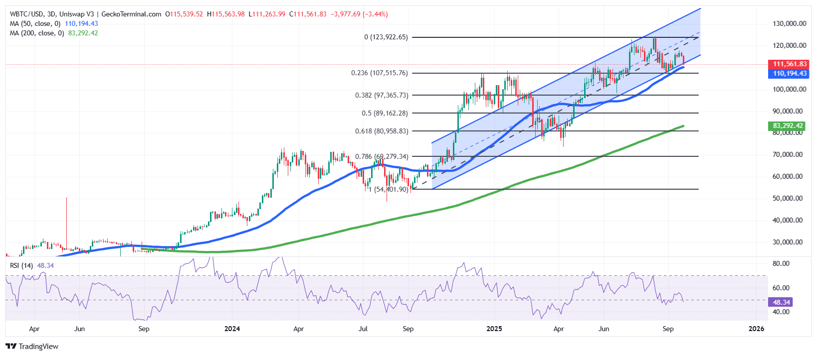 Bitcoin Price Chart Analysis Source: GeckoTerminal