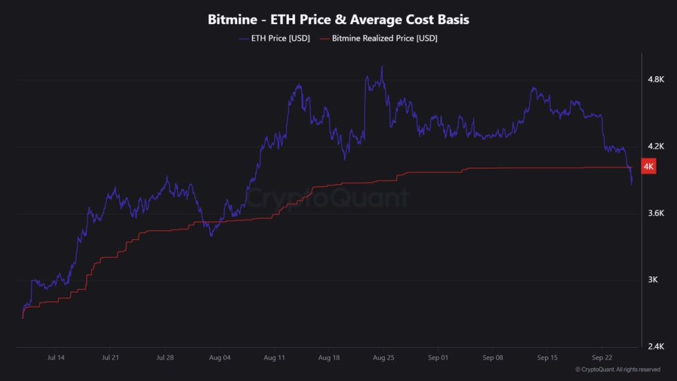 BitMine Ethereum Average Cost Basis | Source: Maartunn
