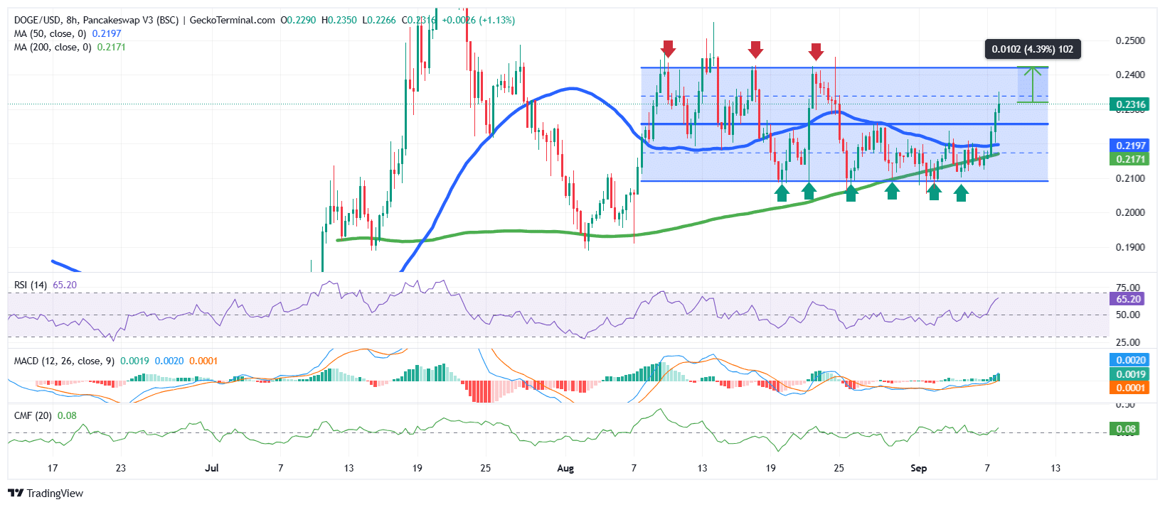 DOGE/USD Chart Analysis Source: GeckoTerminal