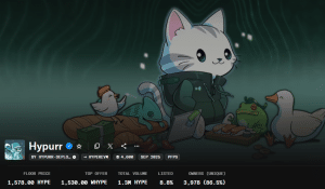 Hypurr NFT overview