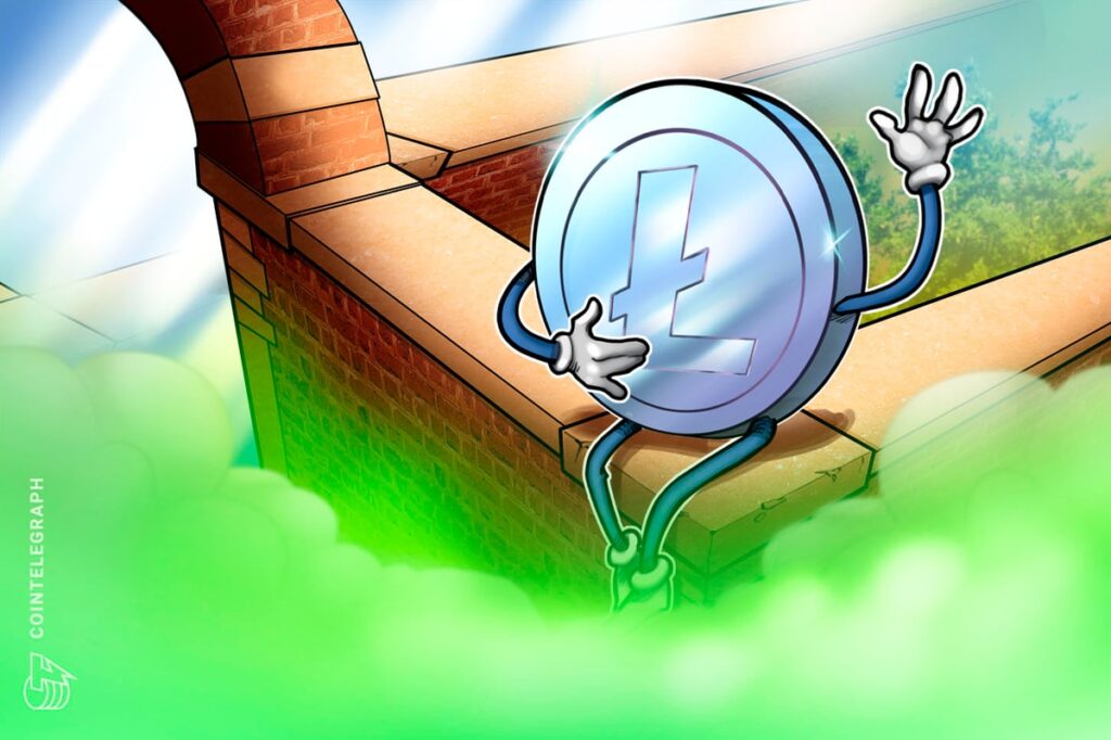 Litecoin Feuds With Crypto Influencer Over Price And Hairline