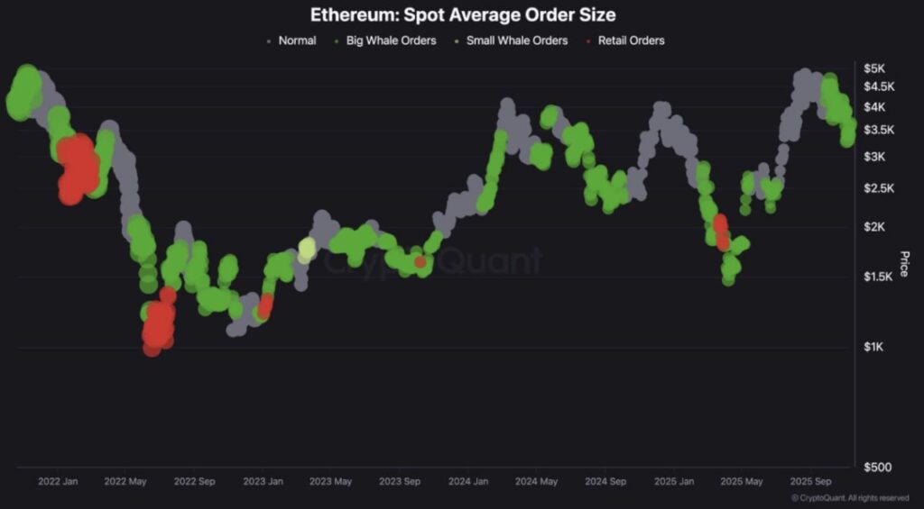 Ethereum Big Wallets Are Back: Whales Are Quietly Accumulating ETH - A Rally On The Way?